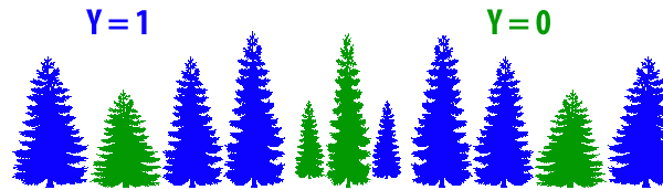 random forest